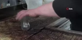 Gençlerin marka takıntısı 51 yaşındaki kadını kahvehaneci yaptı