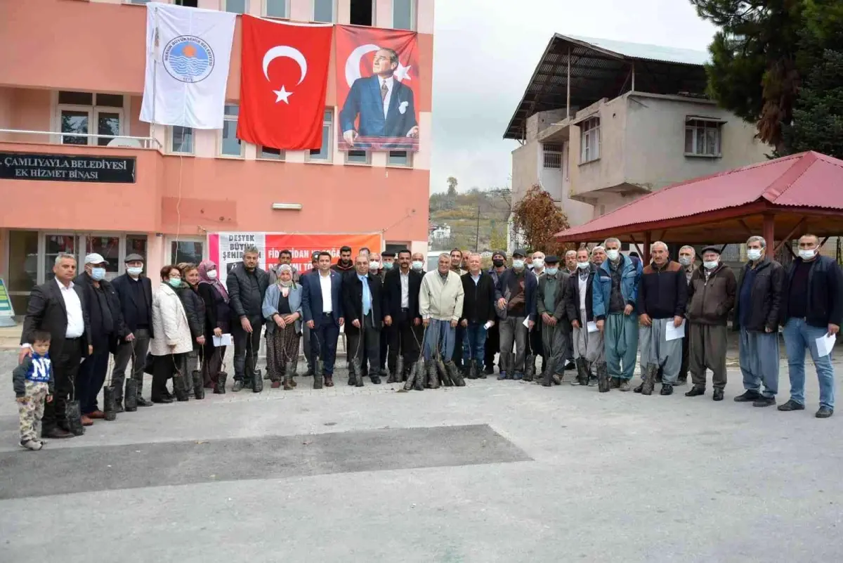 Mersin\'de "Ceviz Fidanı Dağıtımı Projesi" tamamlandı