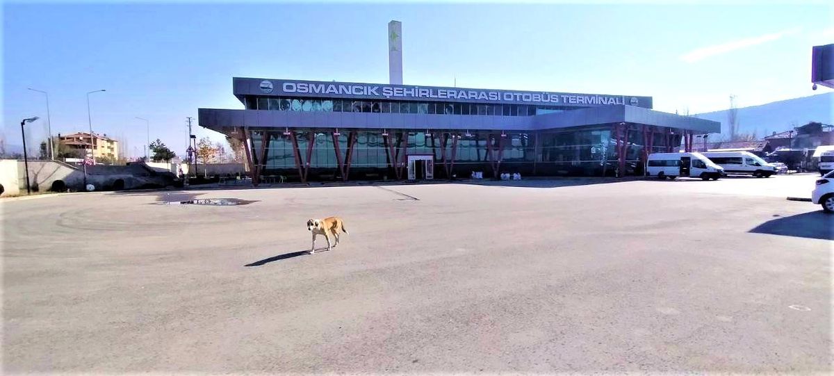 Osmancık otobüs terminaline ATM talep ediliyor
