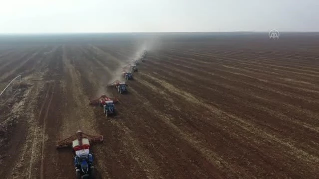 ŞANLIURFA - Türkiye'nin en büyük işletmesinde hububat tohumları toprakla buluştu