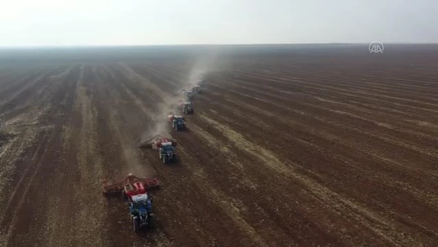 ŞANLIURFA - Türkiye'nin en büyük işletmesinde hububat tohumları toprakla buluştu