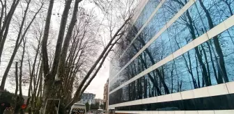Sarıyer'de çatılar uçtu, ağaçlar devrildi