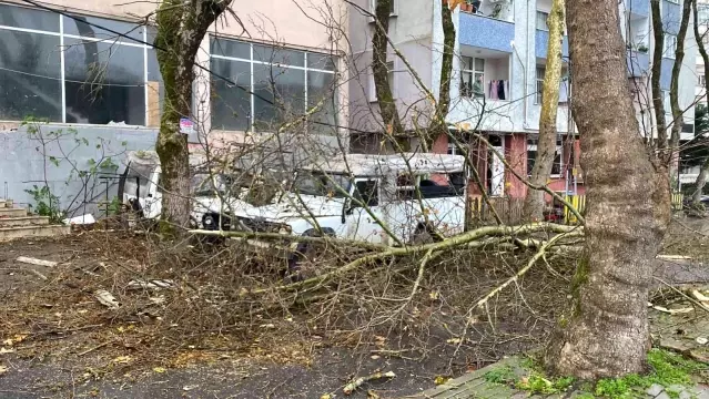 Sarıyer'de çatılar uçtu ağaçlar devrildi