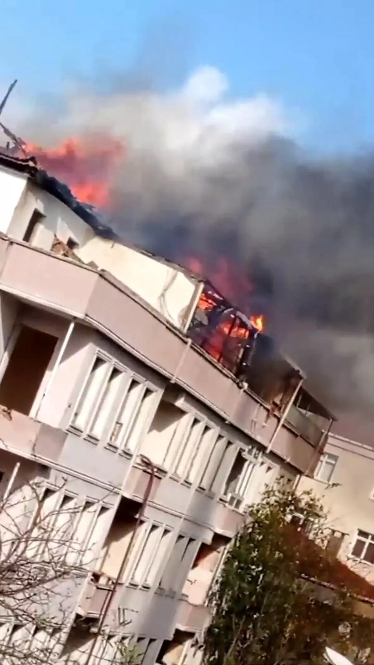 Son dakika 3. sayfa: Avcılar\'da korkutan yangın: 1 itfaiye eri yaralandı