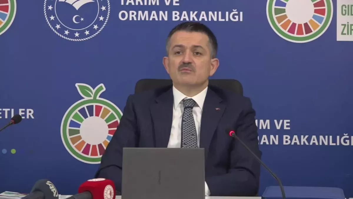 Bakan Pakdemirli: "Dünyada en fazla ağaçlandırma yapan ilk 3 ülke arasındayız"