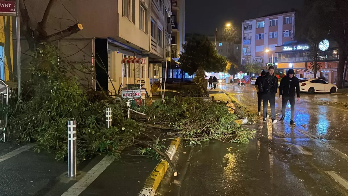 BALIKESİR - Kuvvetli fırtına ağaçları ve otobüs durağını devirdi