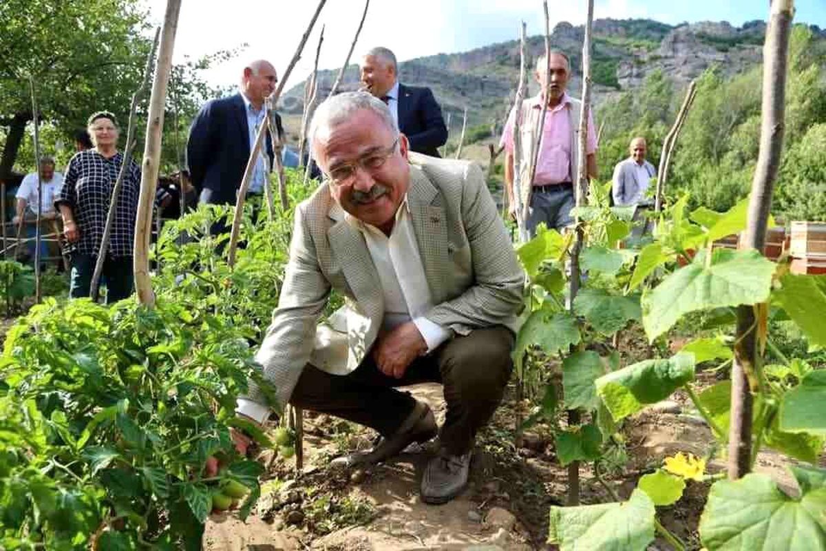 Ordu\'da tarım alanındaki çalışmalar 72 milyon lira kazandırdı