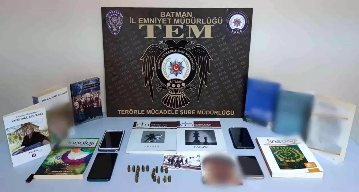 Batman\'da terör örgütü PKK\'ya yönelik operasyonda 1 kişi tutuklandı