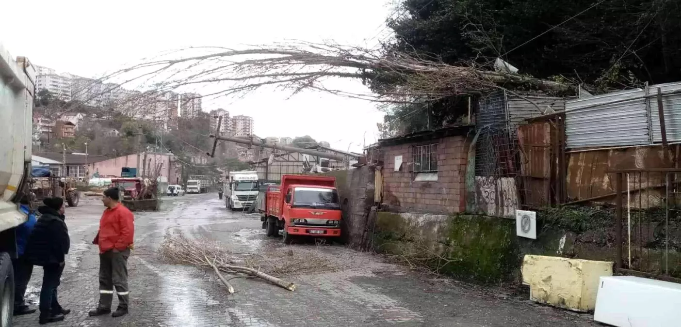 Fırtına direkleri ve ağaçları devirdi