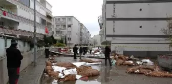 Fırtınanın vurduğu Gemlik'te temizlik çalışması