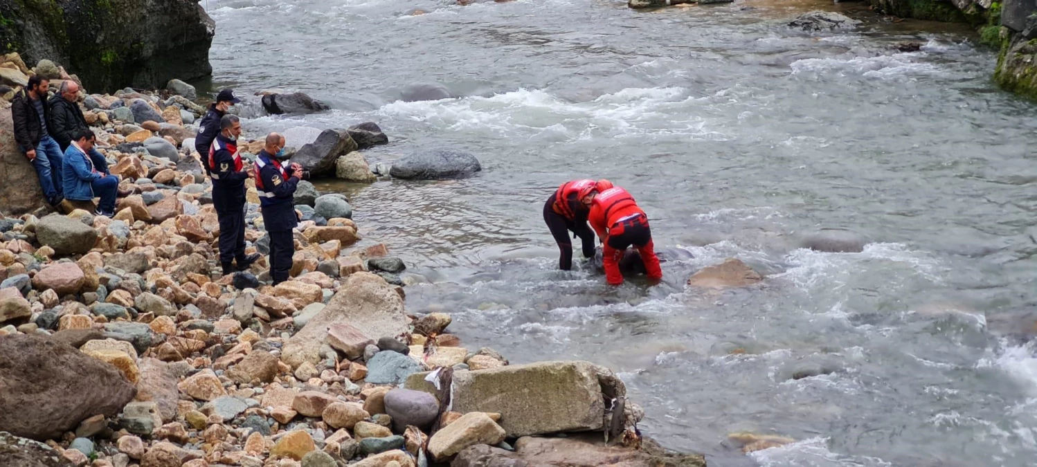 Giresun\'da korkuluğuna çarptığı köprüden dereye düşen kamyonet sürücüsü yaşamını yitirdi