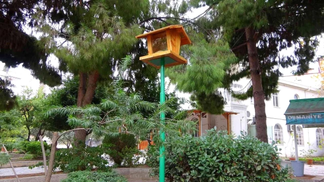 Hayvansever imam cami bahçesine kuş yemliği yaptırdı