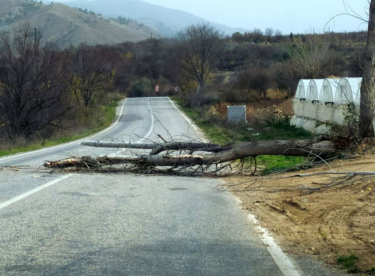 İnhisar-Eskişehir karayolu devrilen ağaç yüzünden bir süre ulaşıma kapandı