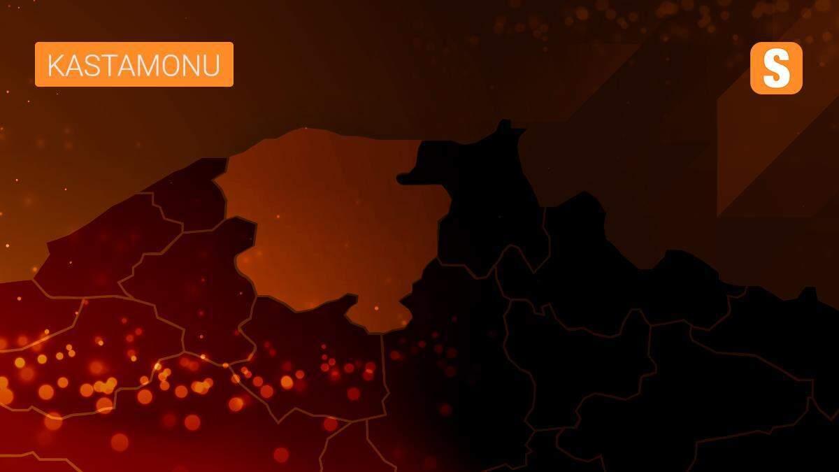 Kastamonu\'da araca çarparak yaralanan şahin tedavi ediliyor