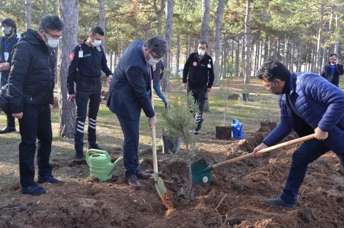 Kırşehir\'de sağlık çalışanları hastane bahçesine fidan dikerek geleceğe nefes oldu