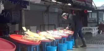 Lodos balık tezgahlarını da vurdu