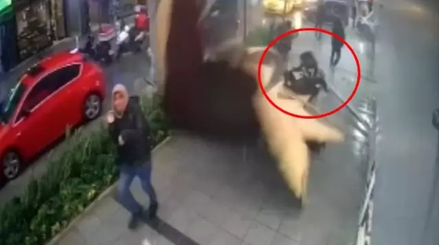 Kağıthane'de lodos dehşeti! Çatı anne ile oğlunun üstüne uçtu Kağıthane'de lodos dehşeti! Çatı anne ile oğlunun üstüne uçtu