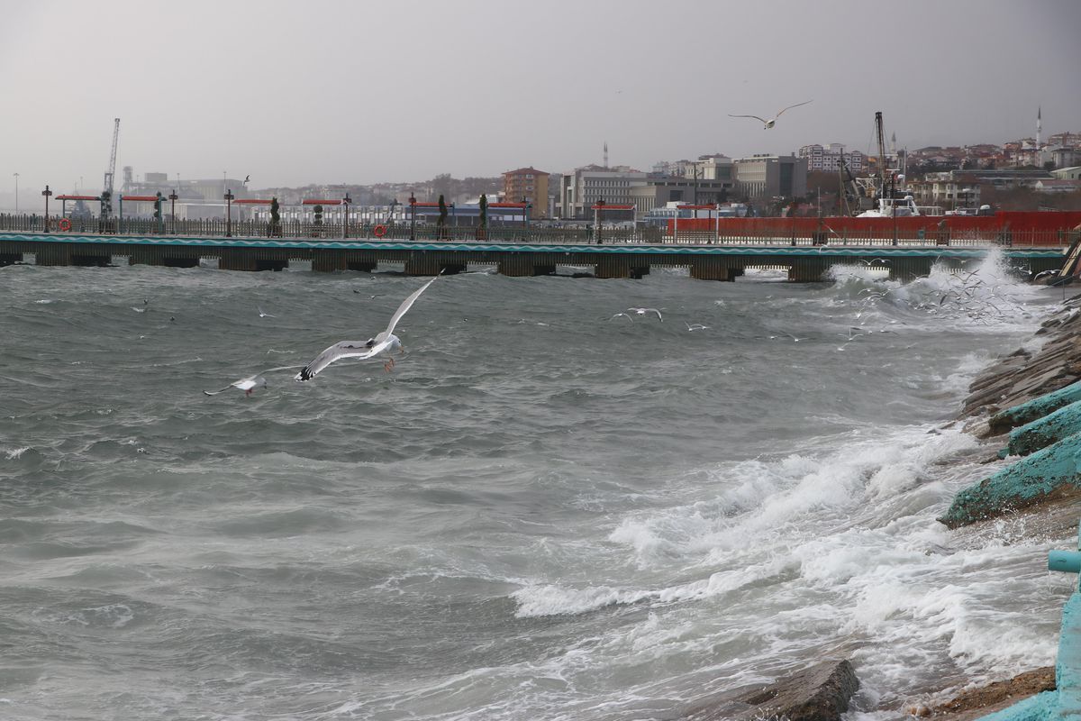 Marmara Denizi\'nde etkili olan lodos 2 gündür deniz ulaşımını aksatıyor