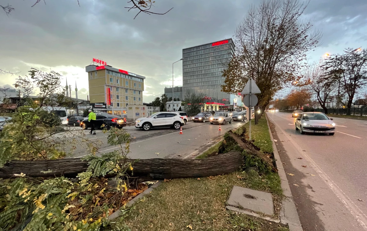 Samsun\'da şiddetli rüzgar hasara neden oldu