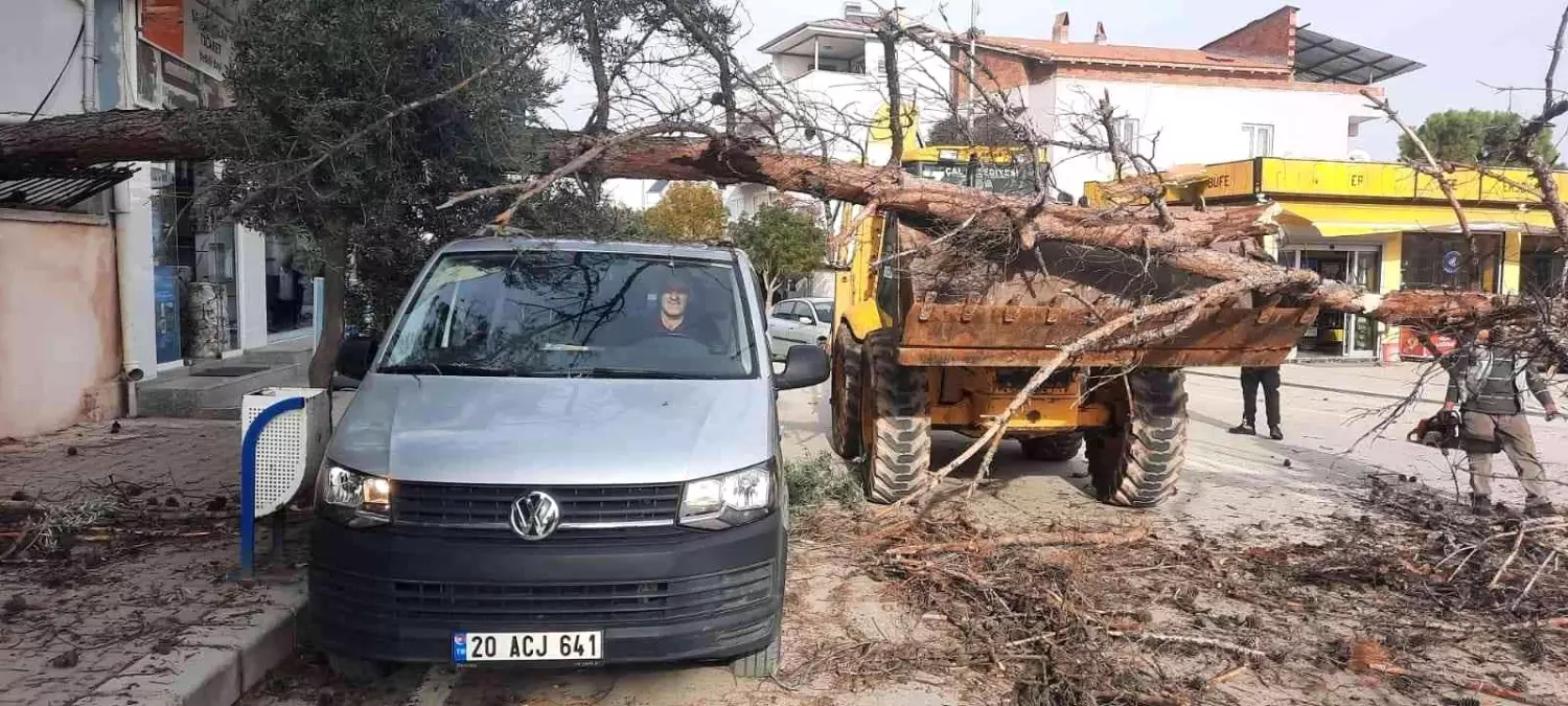 Şiddetli rüzgardan kırılan ağaç park halindeki aracın üzerine düştü