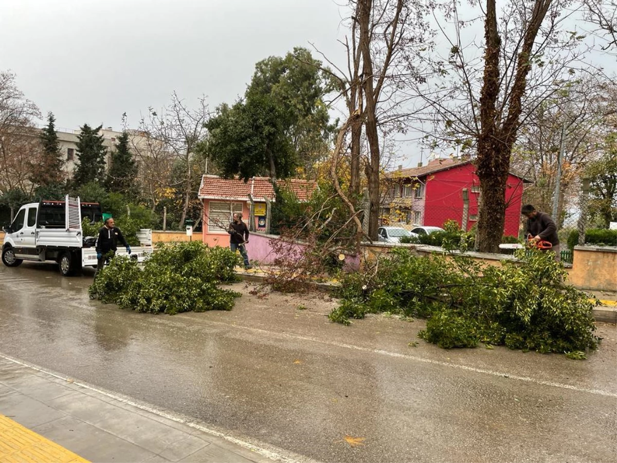 Sinop\'ta şiddetli rüzgar çatıları uçurdu