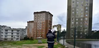 Tuzla Belediyesi'nden sokak hayvanları için mama seferberliği