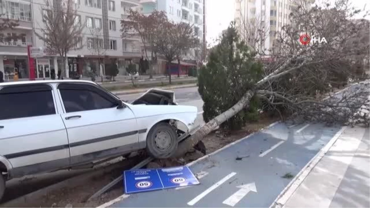 Aksaray\'da otomobil ağaca çarptı: 1 yaralı