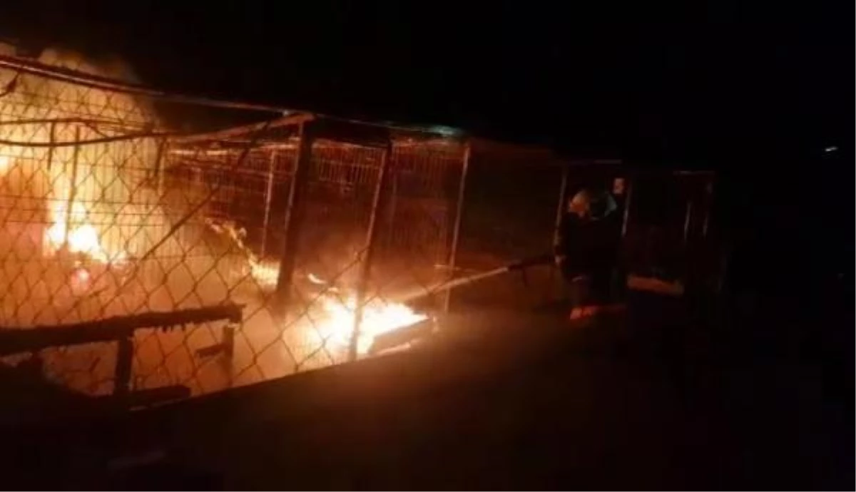 Ankara\'da gönüllülerin inşa ettiği hayvan barınağında korkutan yangın