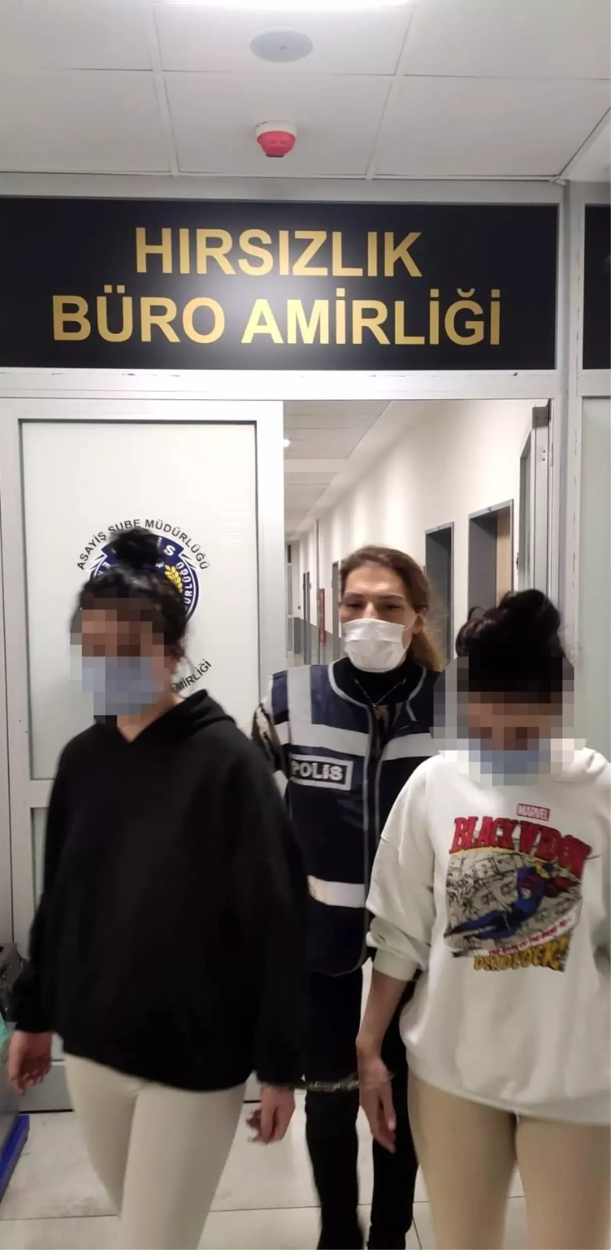 Eve giren hırsız kediyi bile çaldı