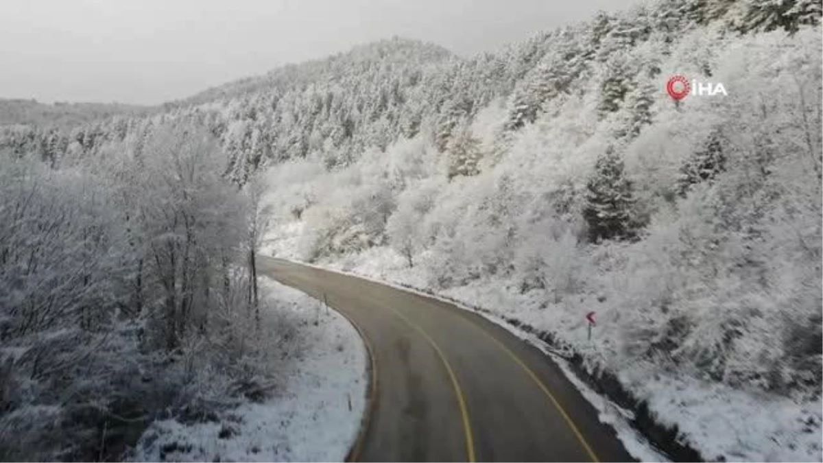 Karabük\'te çam ağaçları beyaz gelinliğini giydi