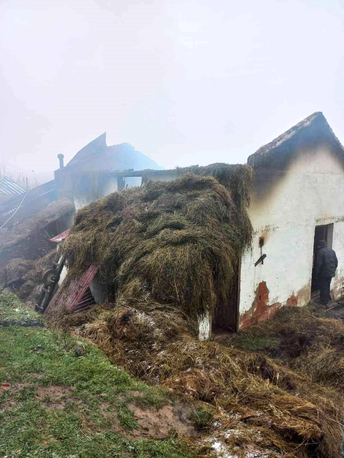 Son dakika haberleri... Ordu\'da ahır yangınında 3 hayvan telef oldu