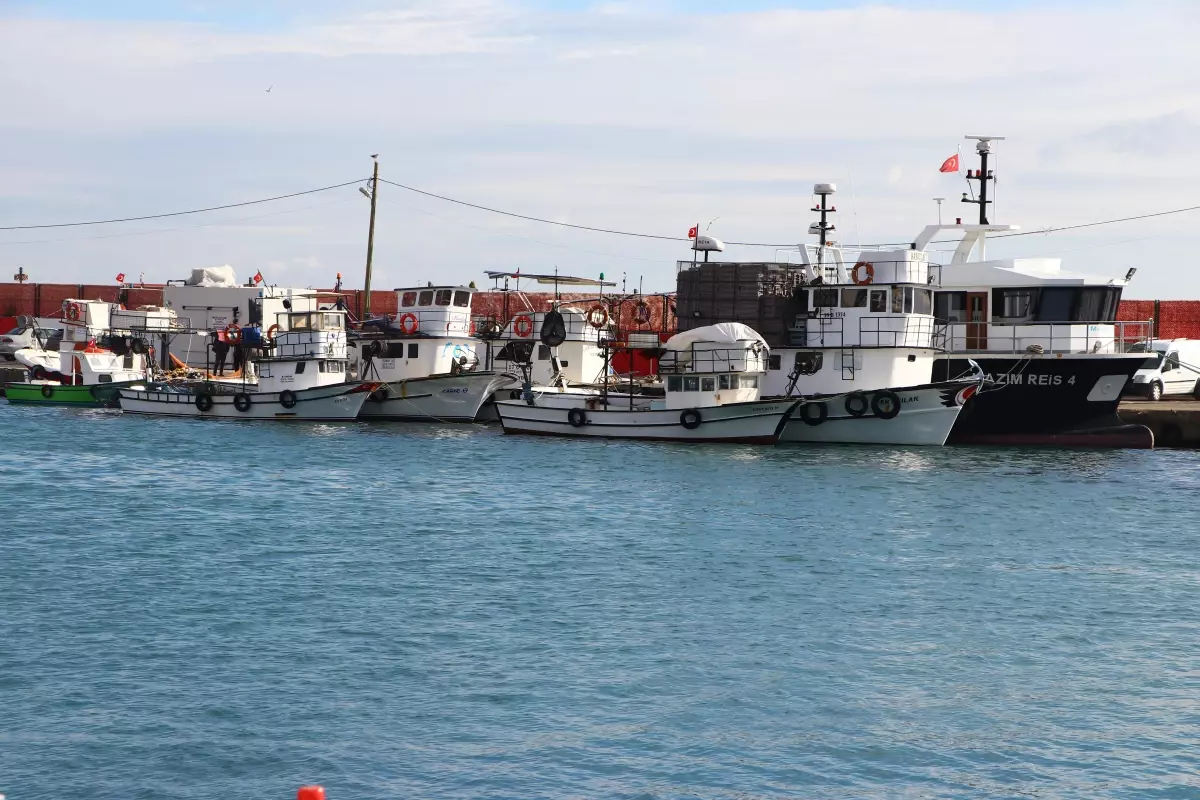 Tekirdağ\'da balıkçıların zorunlu paydosu sona erdi