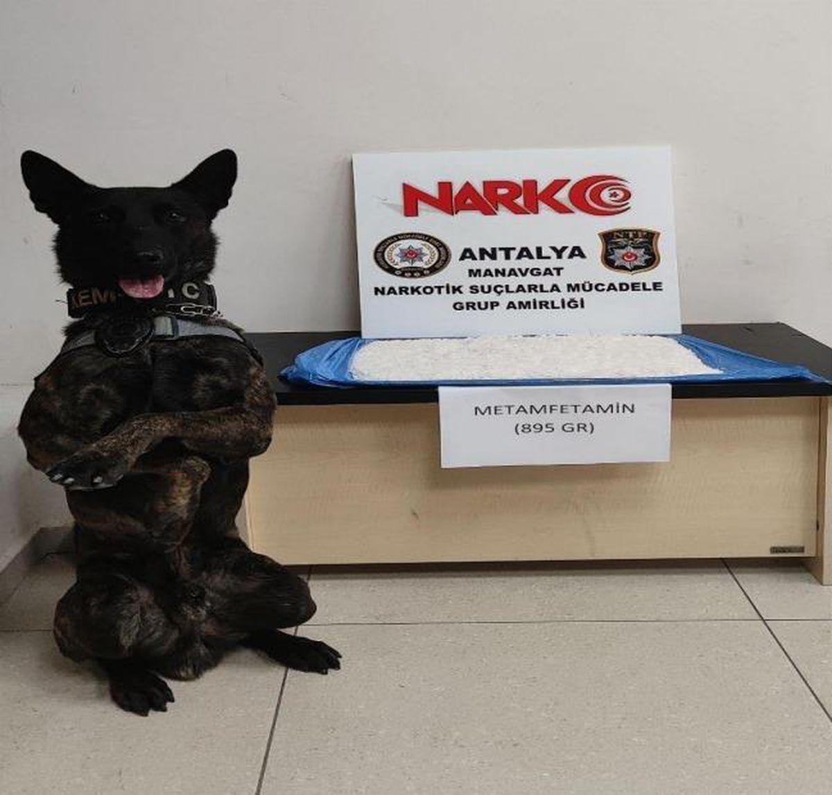 Antalya\'da narkotik arama köpeği "Pars"ın uyuşturucu bulduğu araçtaki 3 kişi tutuklandı