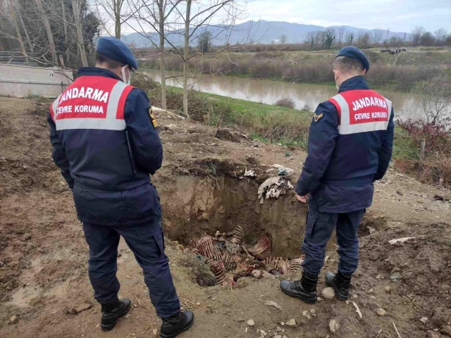 Geçen ay suçüstü yakalanan baba oğulun evine yine baskın! Tek tırnaklı hayvan eti keserken yakalandılar