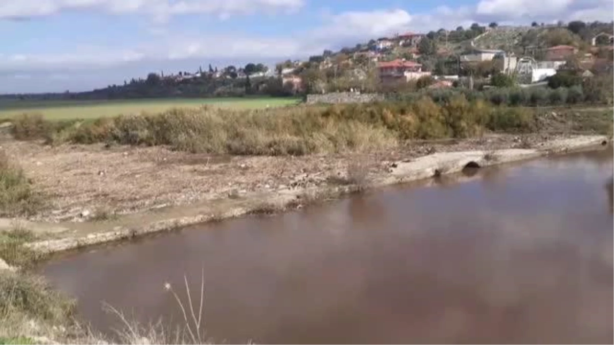 Büyük Menderes Nehri\'nde toplu balık ölümleri görüldü