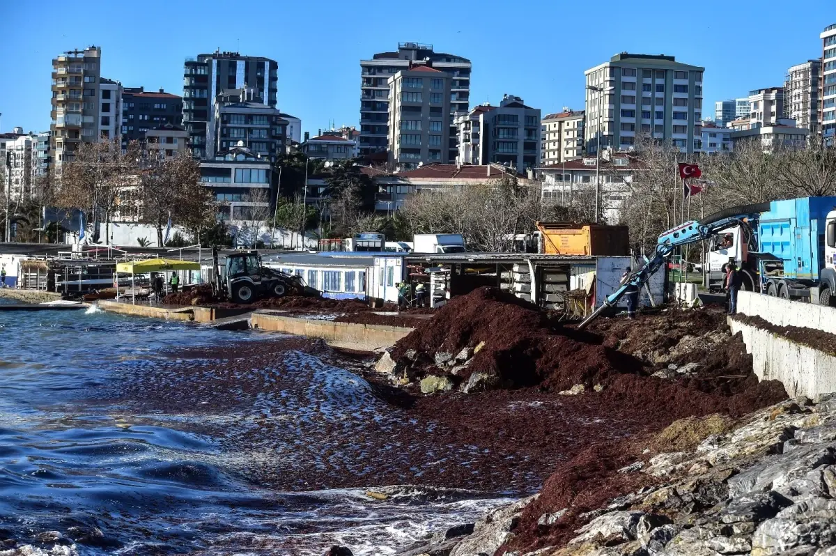 Lodosun etkisiyle Caddebostan sahili çöp içinde kaldı