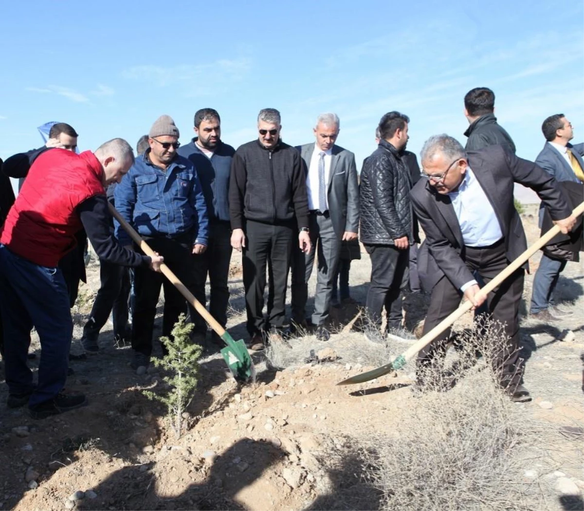 Kayseri Ulaşım AŞ, 3 bin fidanı toprakla buluşturdu