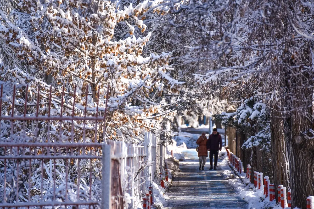'Kış turizmi cenneti' Erzurum'a yağan kar güzellikleri de beraberinde getirdi