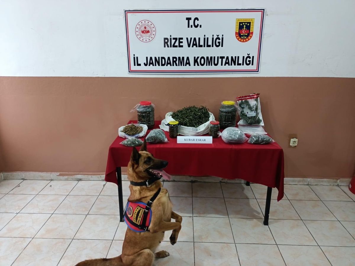 Rize\'de jandarma ekiplerince son bir ayda 10,5 kilo esrar ele geçirildi