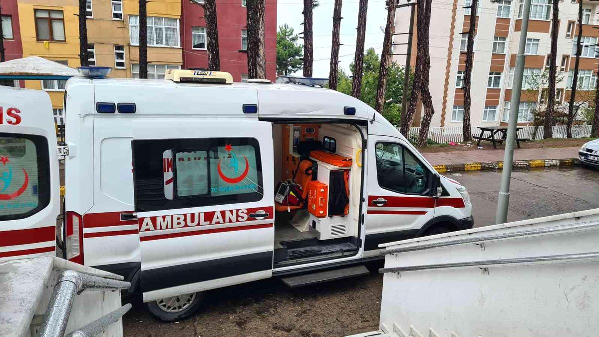 70 yaşındaki adam ağaca çıkarken merdivenden düştü