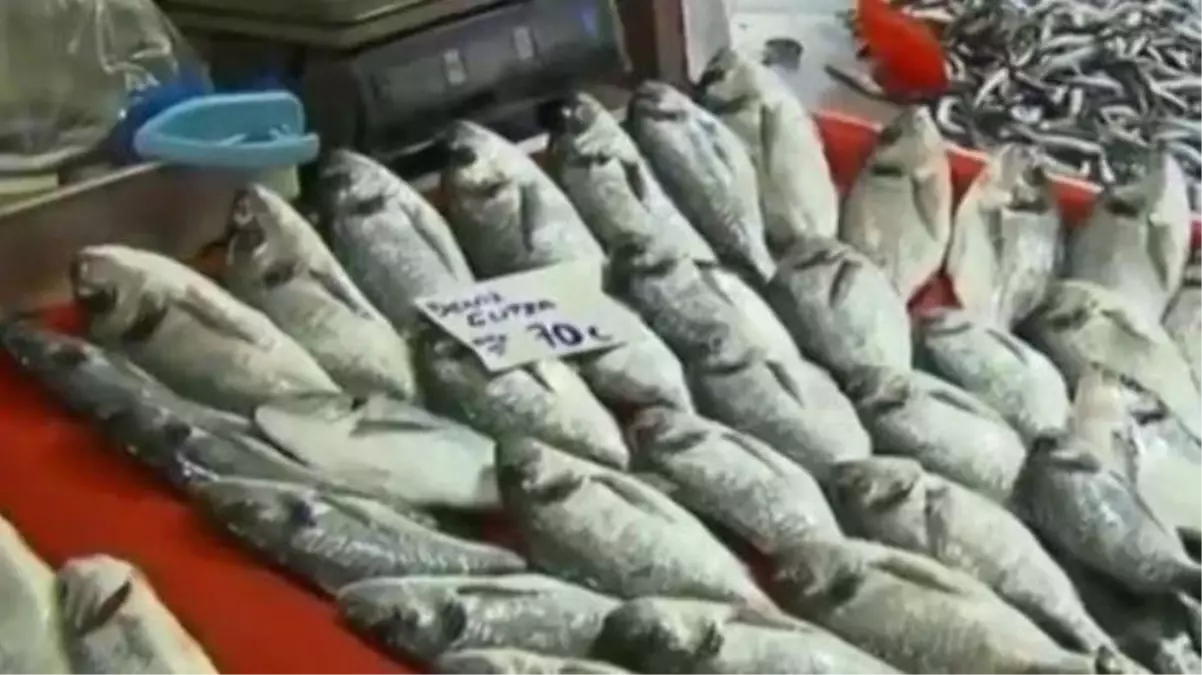 Balık altınla yarışıyor! Mezgitin kilosu 50 lira oldu!