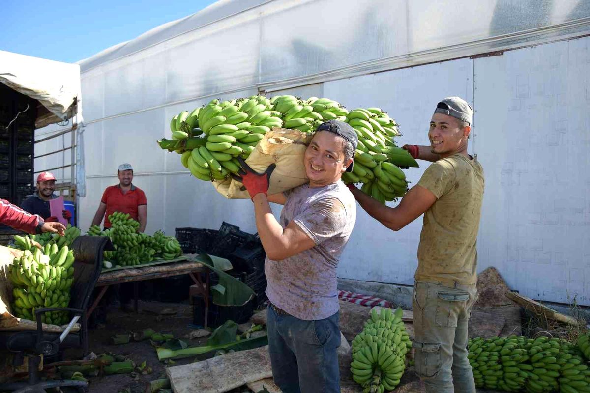 Batı Akdeniz\'den 11 ayda 2 milyar 285 milyon dolarlık ihracat yapıldı
