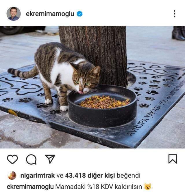 z4pg0qqq765lxm z4pg0qqq765lxm