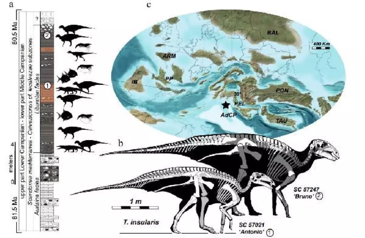 İtalya\'da dinozor sürüsü kalıntıları keşfedildi