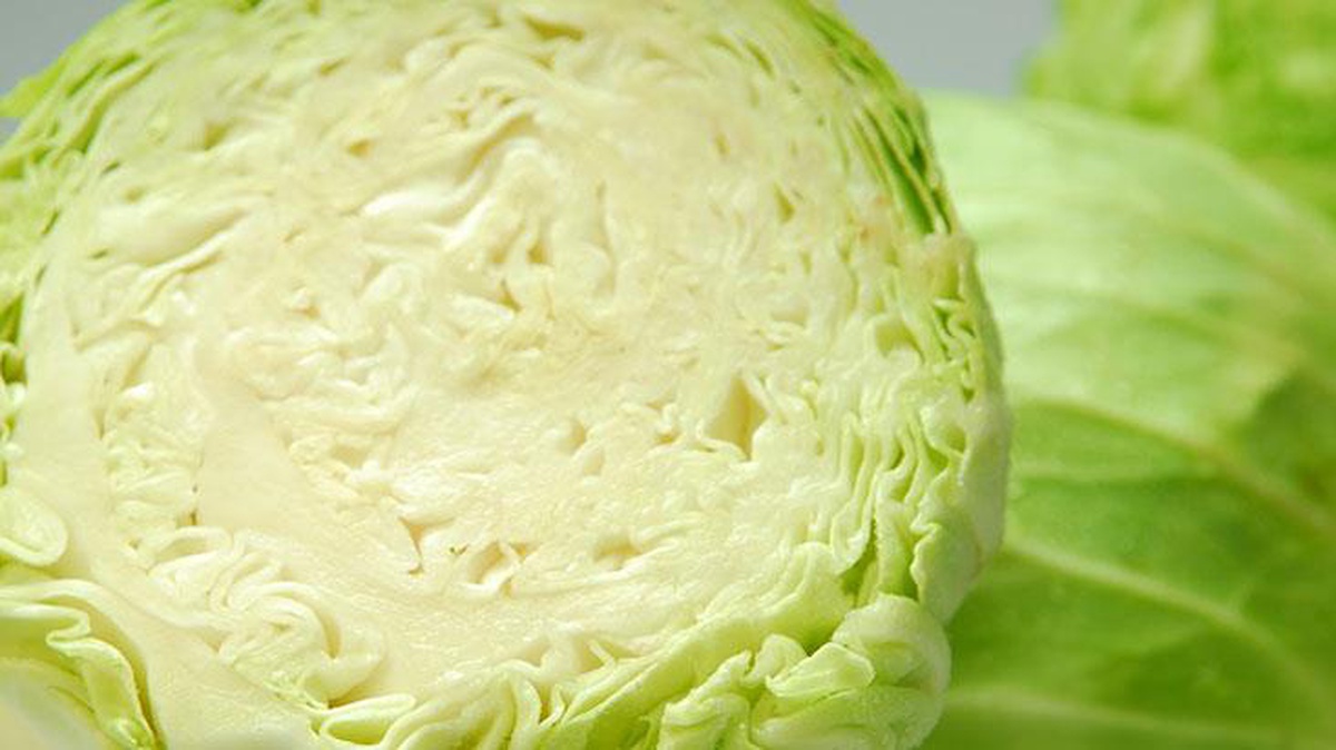 Lahana yapraklarını vücudunuza sarınca ağrı kesiyormuş