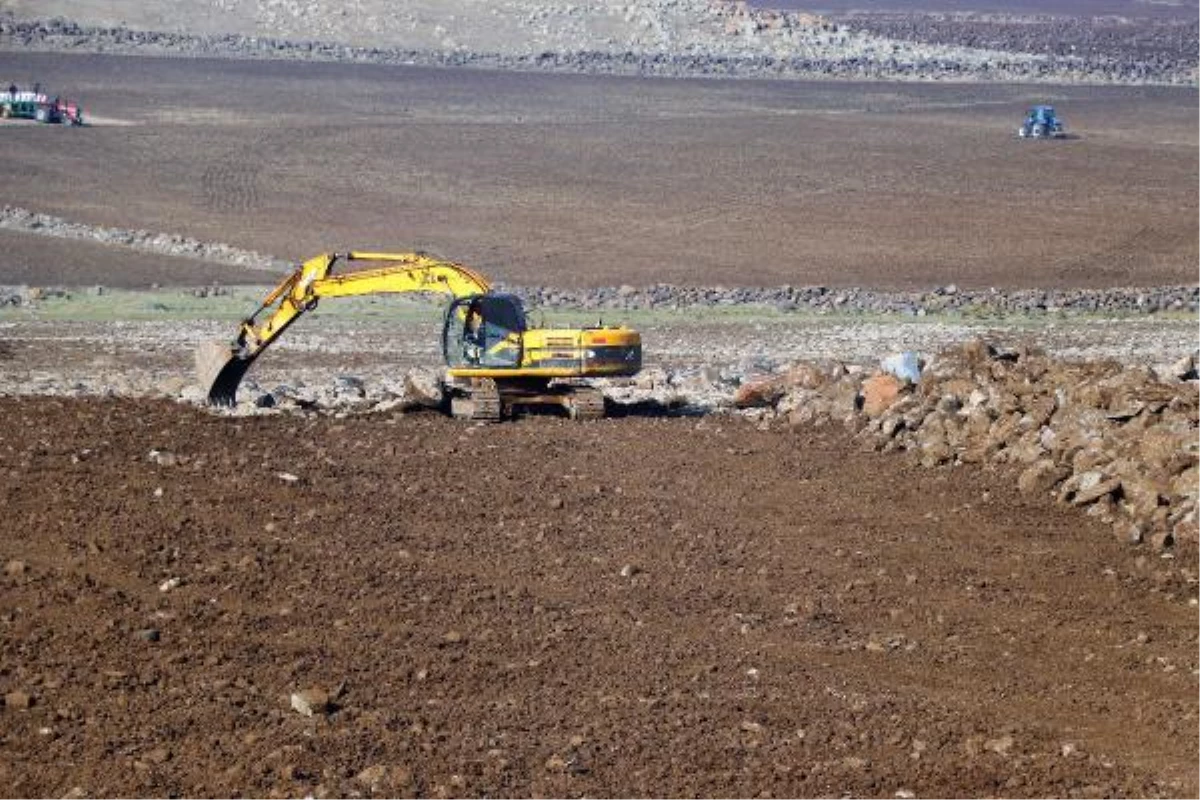 LAVLARIN ÜZERİNİ KAPATTIĞI TOPRAKLAR, DİYARBAKIR\'DA TARIMA KAZANDIRILIYOR