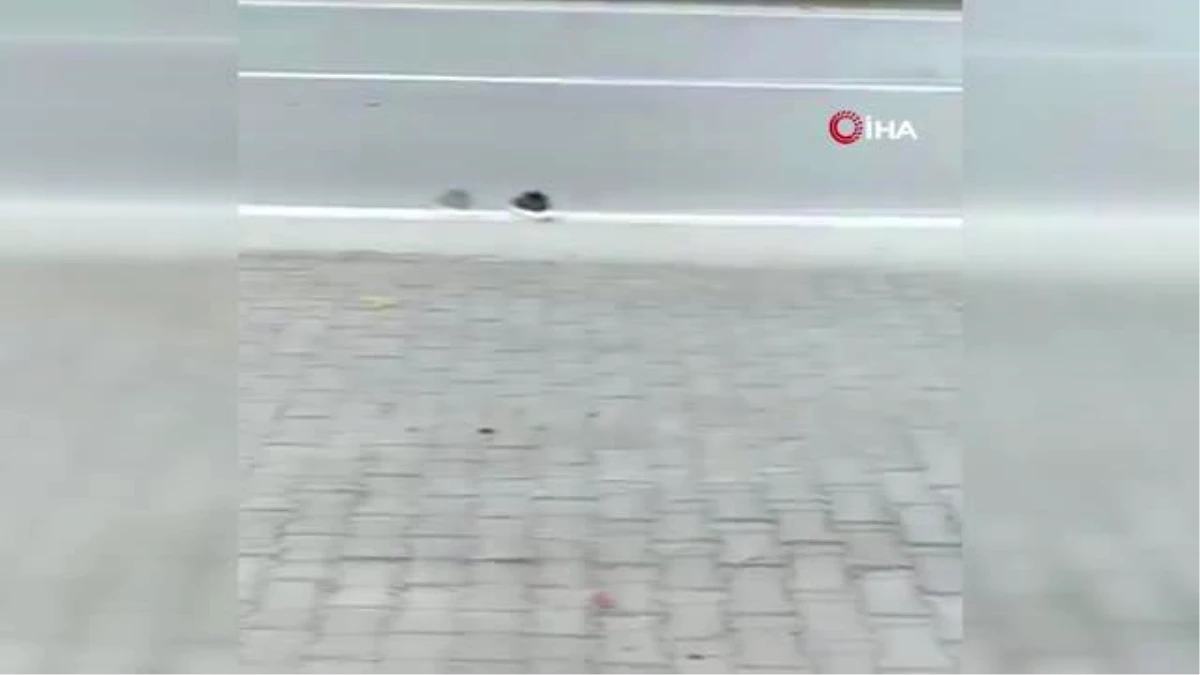 Samsun\'da feci kaza: Direksiyon hakimiyetini kaybetti, kaldırımda yürüyen yayalara böyle çarptı