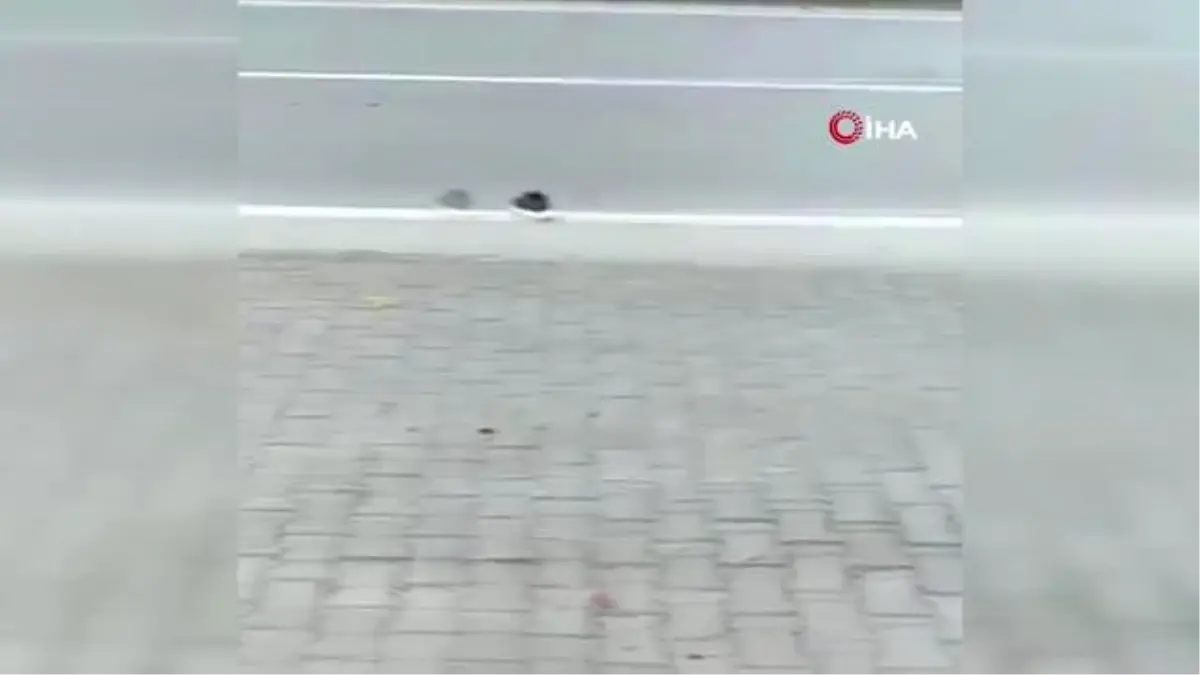 Samsun'da feci kaza: Direksiyon hakimiyetini kaybetti, kaldırımda yürüyen yayalara böyle çarptı