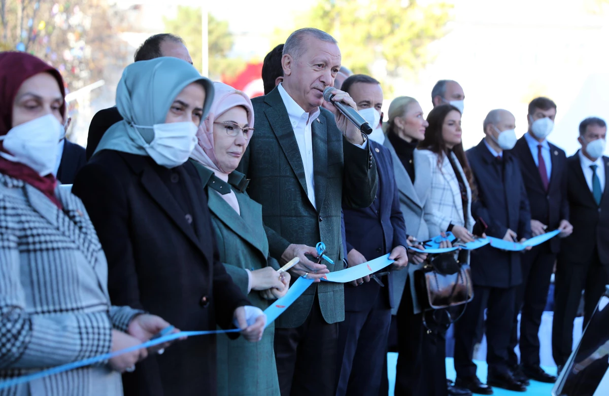 Cumhurbaşkanı Erdoğan Siirt\'te toplu açılış töreninde konuştu: (1)