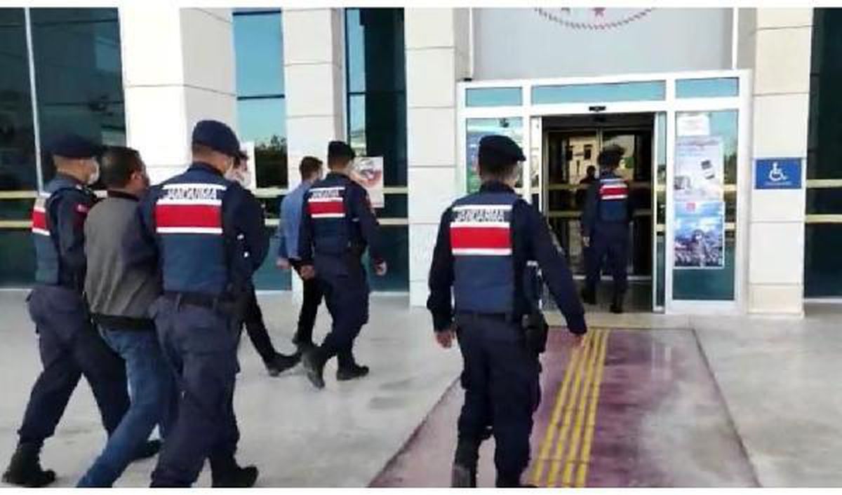 Hayvan satışı yalanıyla 243 bin liralık dolandırıcılığa 4 tutuklama